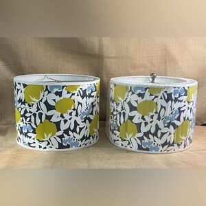 Set Of 2 Seedling by thomaspaul Hedge Shade 12x12x8.5 (Spider) New